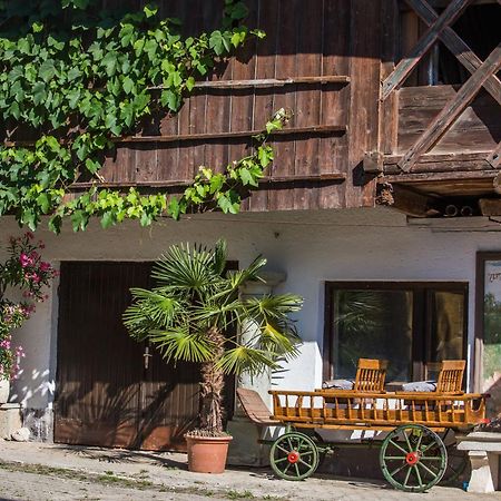 Bio Turisticna Kmetija Frcej-Zupan Villa Bled Exterior foto